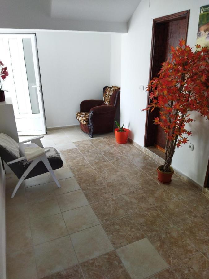 Apartmani Bellami Bečići Zewnętrze zdjęcie